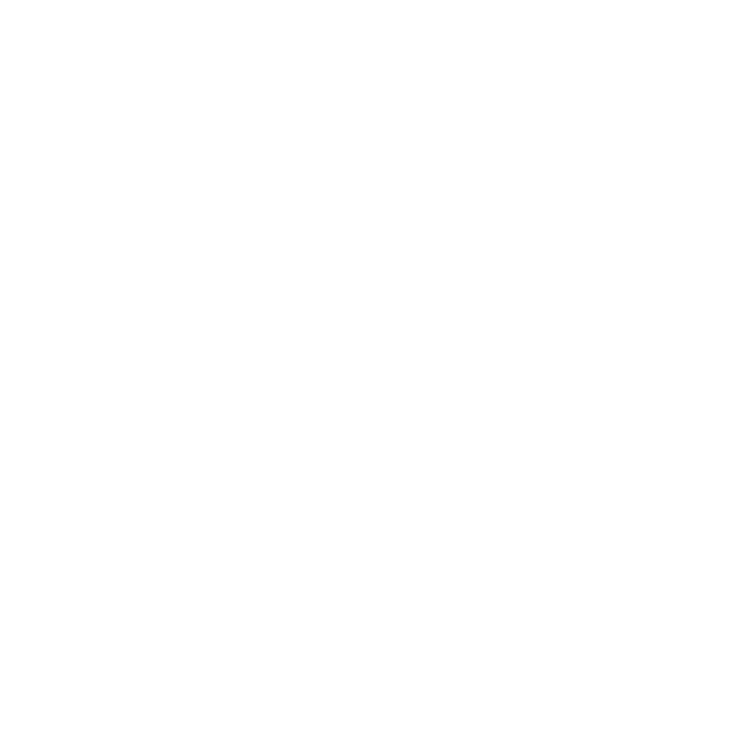 The Making of Leaders - Logo